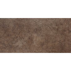 Кварц-виниловая плитка Wonderful Vinil Floor замковая Stonecarp SN03-39-19 Бревиш (609*304, 8*4мм)